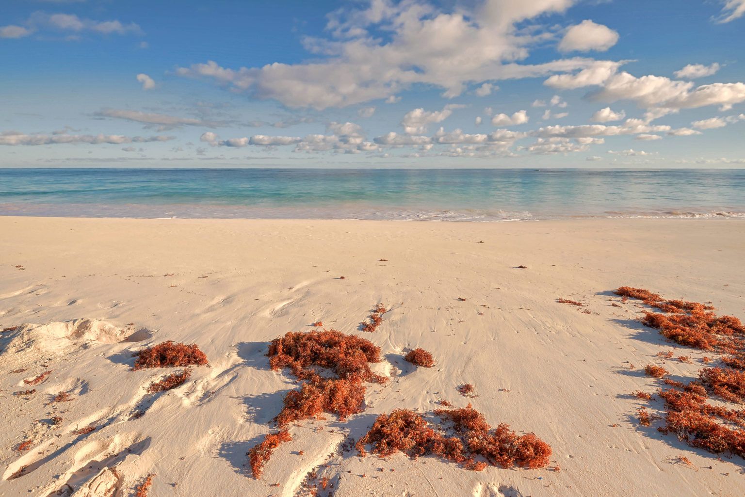 Pink Sand in Eleuthera